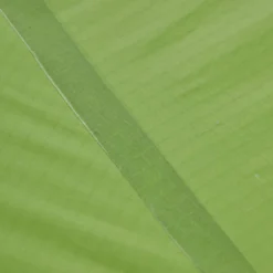 VAUDE LIZARD SEAMLESS 1-2P - Einpersonenzelt -Primus Equipment Geschaft 5637736447 af power lizard seamless 12p cress green vaude 24